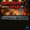 ครอสโอเวอร์ Crossover แบรนด์ A.S. POWER TECH รุ่น 223XL (2ทาง)*ราคาไม่รวมค่าส่ง*