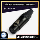 แจ็ค XLR ตัวเมียชุบทอง 3 ขา ท้ายยาง LIDGE รุ่น YM - 001B *ราคาไม่รวมค่าส่ง*